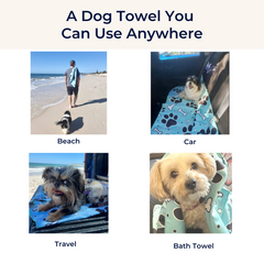 QUICK DRY SAND FREE BEACH TOWEL FOR DOGS